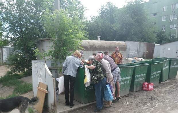Картинки по запросу роются в помойке