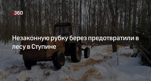 Незаконную рубку берез предотвратили в лесу в Ступине