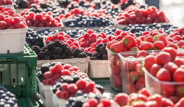Парадоксы фруктового изобилия - фото