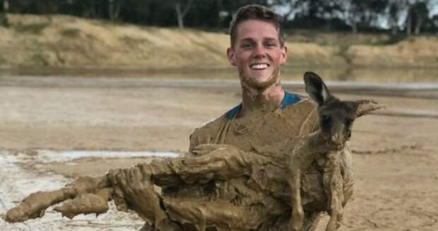 Австралийский подросток полез в грязь, чтобы спасти увязшего по уши кенгуренка австралия, доброта, животные, кенгуренок, кенгуру, помощь, спасение