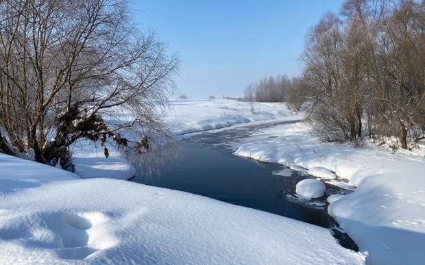 В Рязанской области будут 4 марта будет до +2 градусов