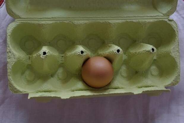 Суд отказал жителю Ленобласти в компенсации за испорченные продукты