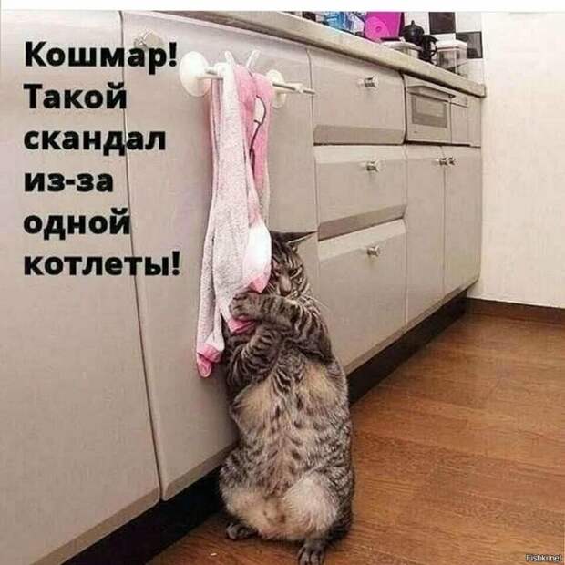 96a49c45aaf31e6dd235058f20fb0921 (700x700, 270Kb)