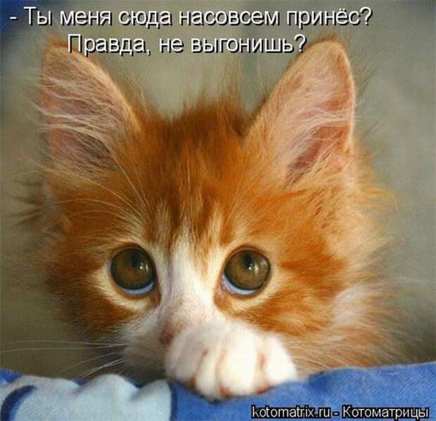Мысли вслух :)