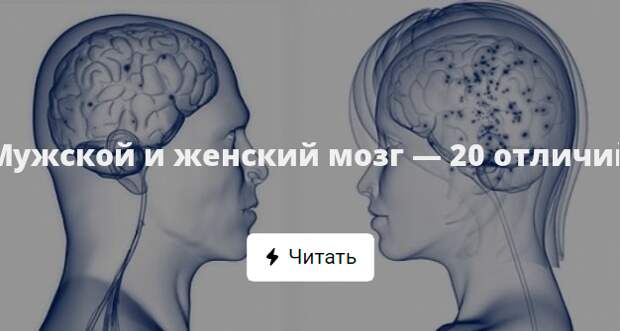 После 20 мозг. Мозг женщины. Мужской и женский мозг. Женский мозг и мужской мозг разница. Различие между мужским и женским мозгом.