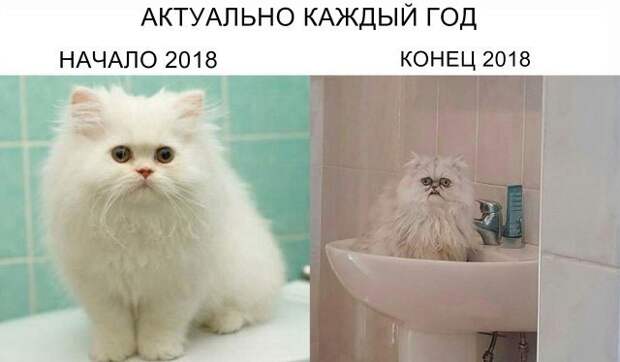 Прикольные и смешные картинки от Димон за 07 декабря 2018 картинки, прикол, юмор