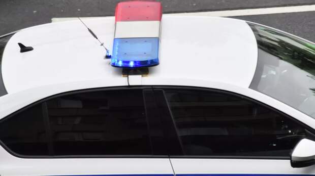 В Смоленске уже вторые сутки ищут девятилетнюю девочку