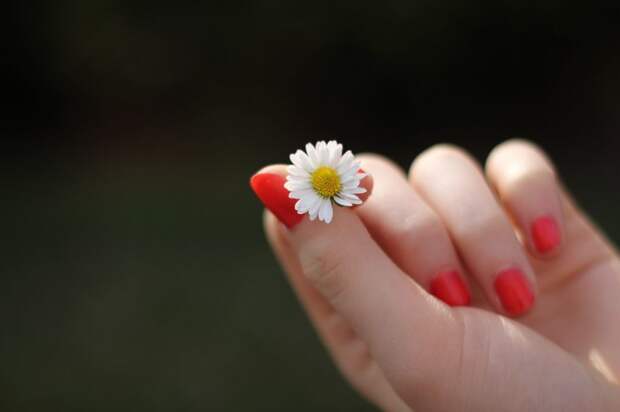 Ногти /фото: pixabay.com