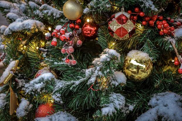 14 января: какой сегодня день