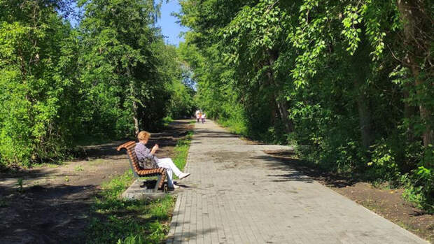 Парк имени Ленина в Барнауле. Август, 2024 год / Фото: amic.ru