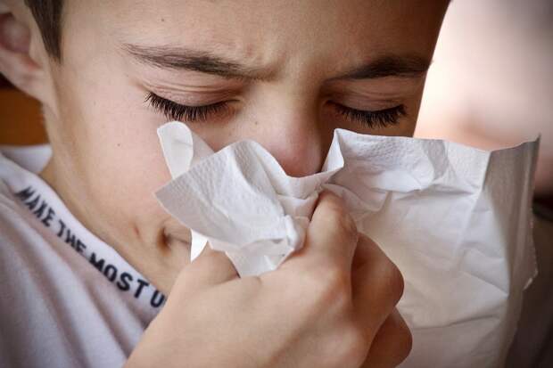 Врач Станкевич: вылечить аллергию на пыльцу можно с помощью терапии АСИТ