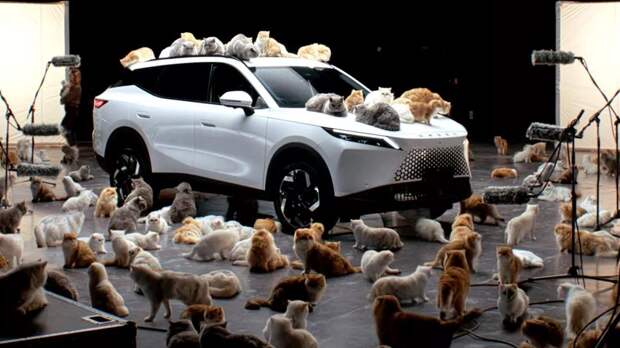 Omoda 7 прошла тест кошками