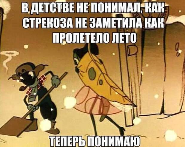 Прикольные картинки