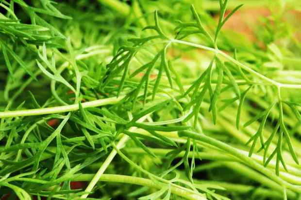 10 ����, ������� ������� ��� ����� ������� � ��������. ����������� ����� 4