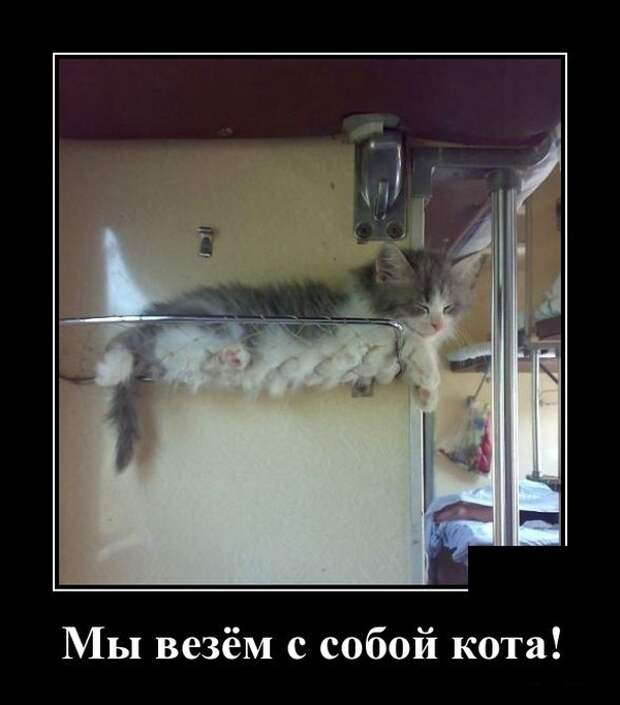 Демотиваторы (30 фото)
