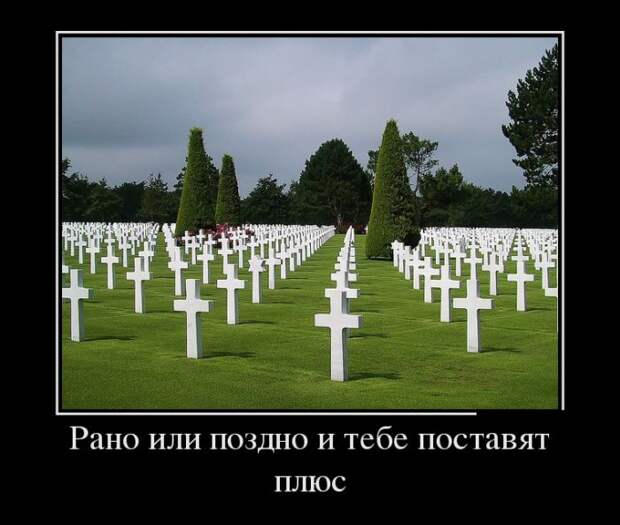 Демотиваторы (30 фото) Демотиваторы (30 фото)