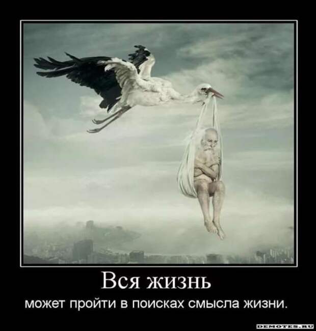 Прикольные демотиваторы с надписями. Подборка chert-poberi-dem-chert-poberi-dem-08310504012021-2 картинка chert-poberi-dem-08310504012021-2
