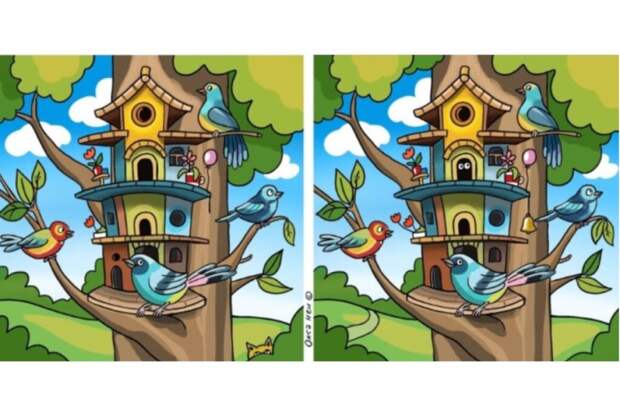 Мозгу нужна зарядка: найдите 10 отличий за 45 секунд