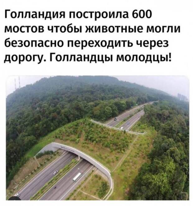 Весёлые