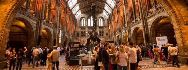 Картинки по запросу Natural History Museum фото 2016