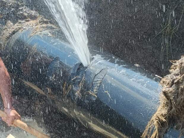 Фото: соцсети