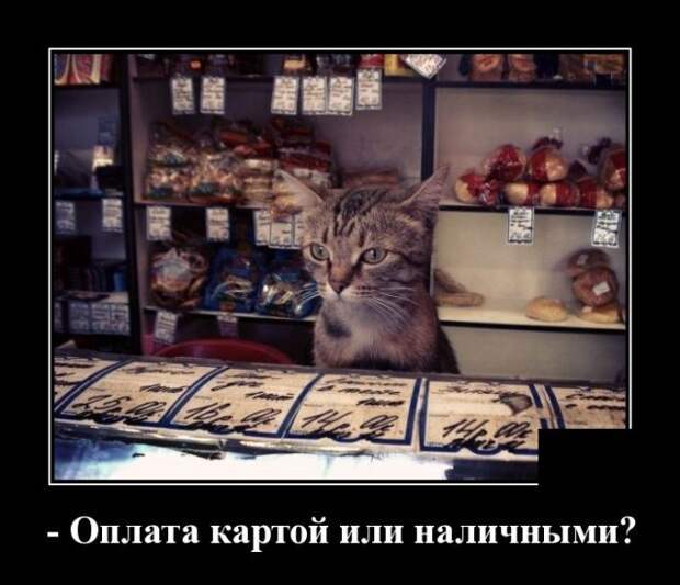 demotivatory-demotivator-smeshnye-demotivatory-demotivator-so-smyslom