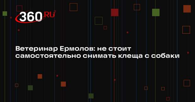 Ветеринар Ермолов: не стоит самостоятельно снимать клеща с собаки