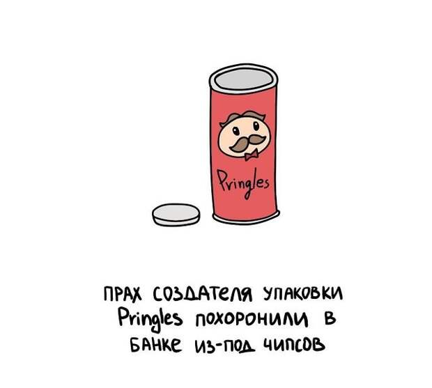 Короткие интересные факты обо всём