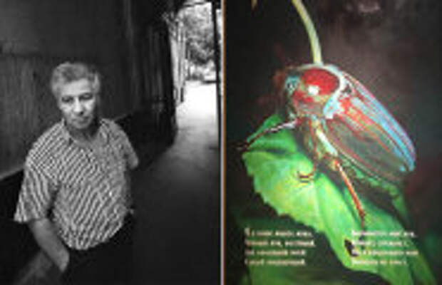 Art: Рисовал «Веселые картинки», эмигрировал в США, продал жука за $7 млн: Пост памяти художника Ильи Кабакова