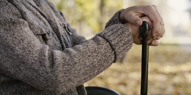 Пенсионеры — золотой фонд: в каких сферах опыт ценится выше молодости