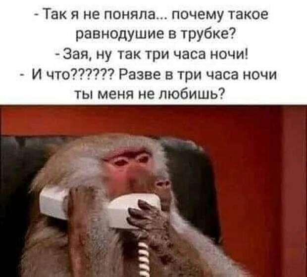 Отец охотник все-таки убил медведя. Мясо он оставил себе, шкуру подарил жене...