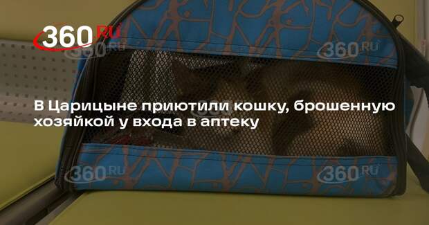 В Царицыне приютили кошку, брошенную хозяйкой у входа в аптеку