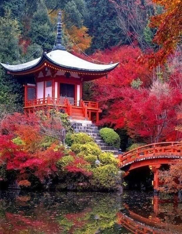 Combolist japan. Киото Япония. Сады Киото Япония. Киото храм Сакура.