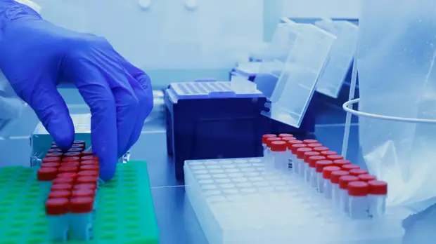 В Бразилии за сутки зафиксировали более 7 тысяч случаев коронавируса