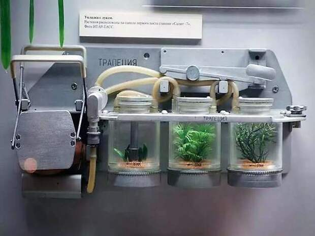 Установка для выращивания растений на борту космической станции. Музей космонавтики. Фото с сайта magspace.ru