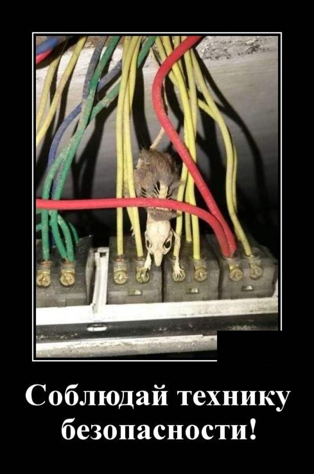 Демотиваторы (30 фото)