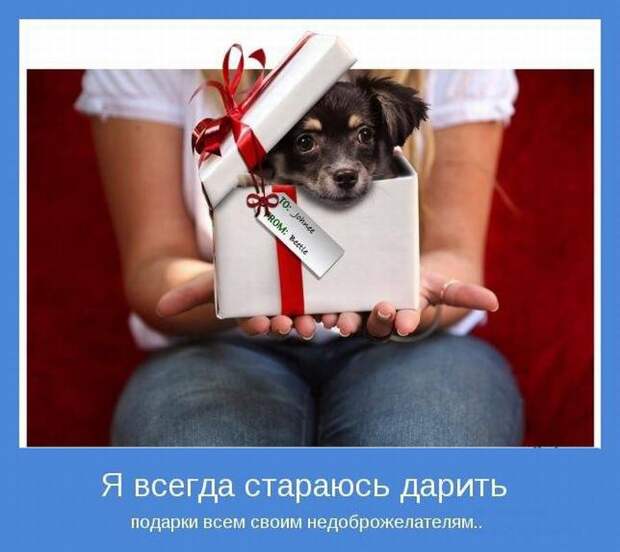 Позитивные мотиваторы с самого утра