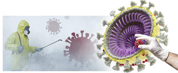 Фото №2 - Мелкий бес: чем вирусы отличаются от бактерий, вирионы от вирофагов, а факты от мифов