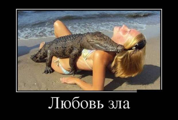 Демотиваторы - 931