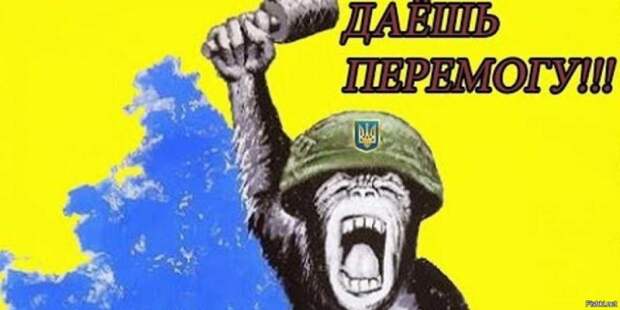 «Путин не остановится на Донбассе» – экс-спикер ВСУ призвал «показать силу украинского оружия»