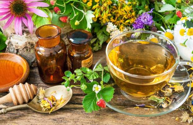 9 золотых рецептов лечения травами и продуктами пчеловодства: исцеляемся без таблеток и лекарств!