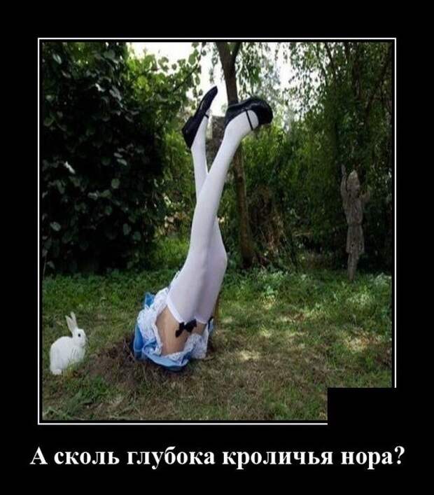 demotivatory-demotivator-smeshnye-demotivatory-demotivator-so-smyslom