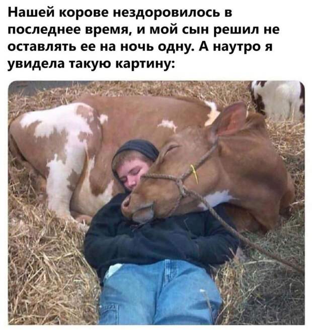 прикольные картинки ржачные (7)