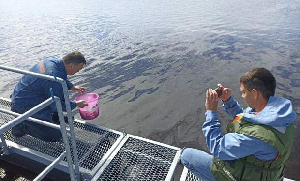 На Ямале выпущено около 100 тысяч мальков нельмы в реку Таз