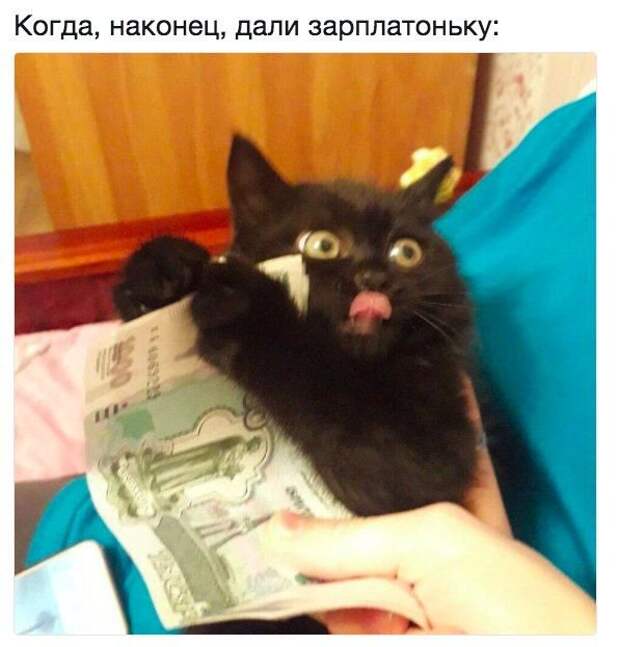 Прикольные картинки абавсём:D