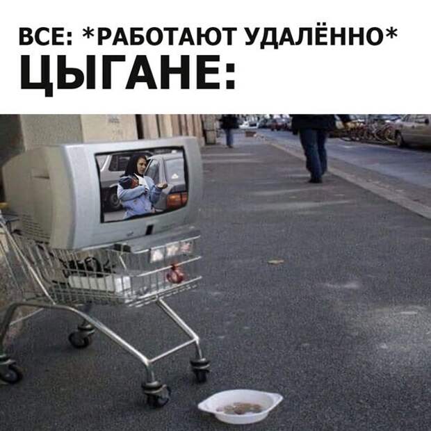 А они чем хуже? А они чем хуже?