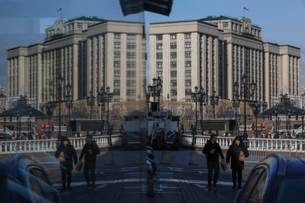 В Госдуме дали разъяснения к идее направлять не желающих иметь детей женщин к психологу