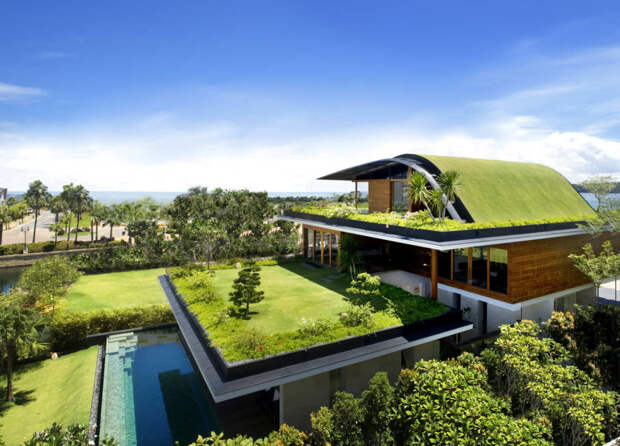 Идеи и предложения по обустройству дома зеленого стиля