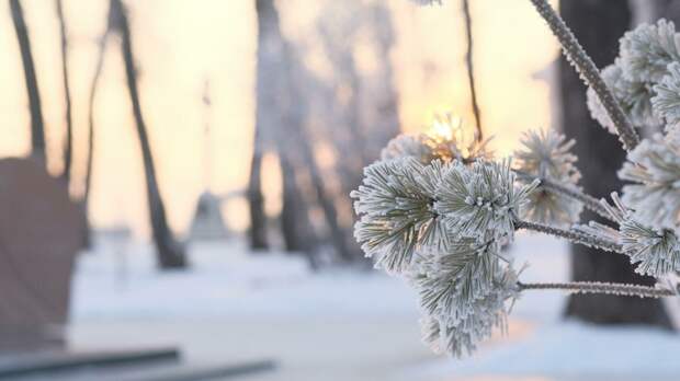 До -22. О погоде в Барнауле 25 февраля