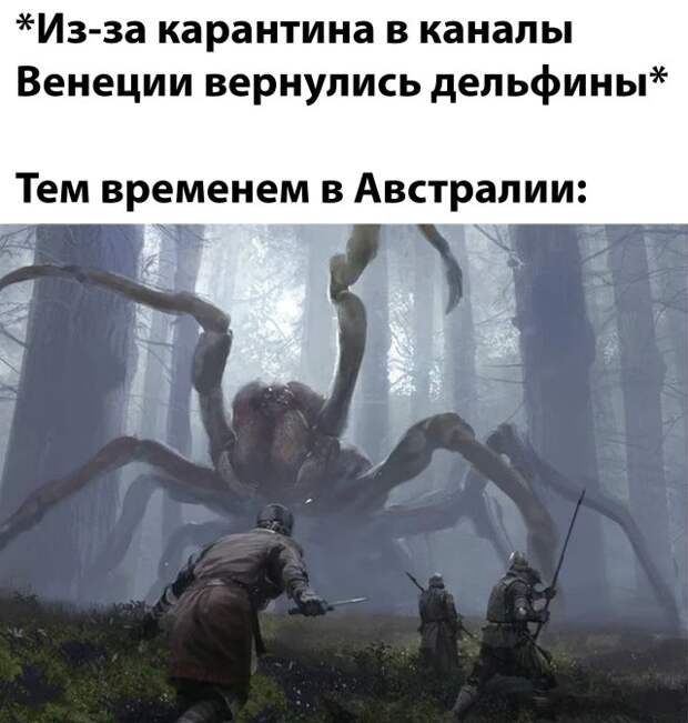 www.vsyako.net